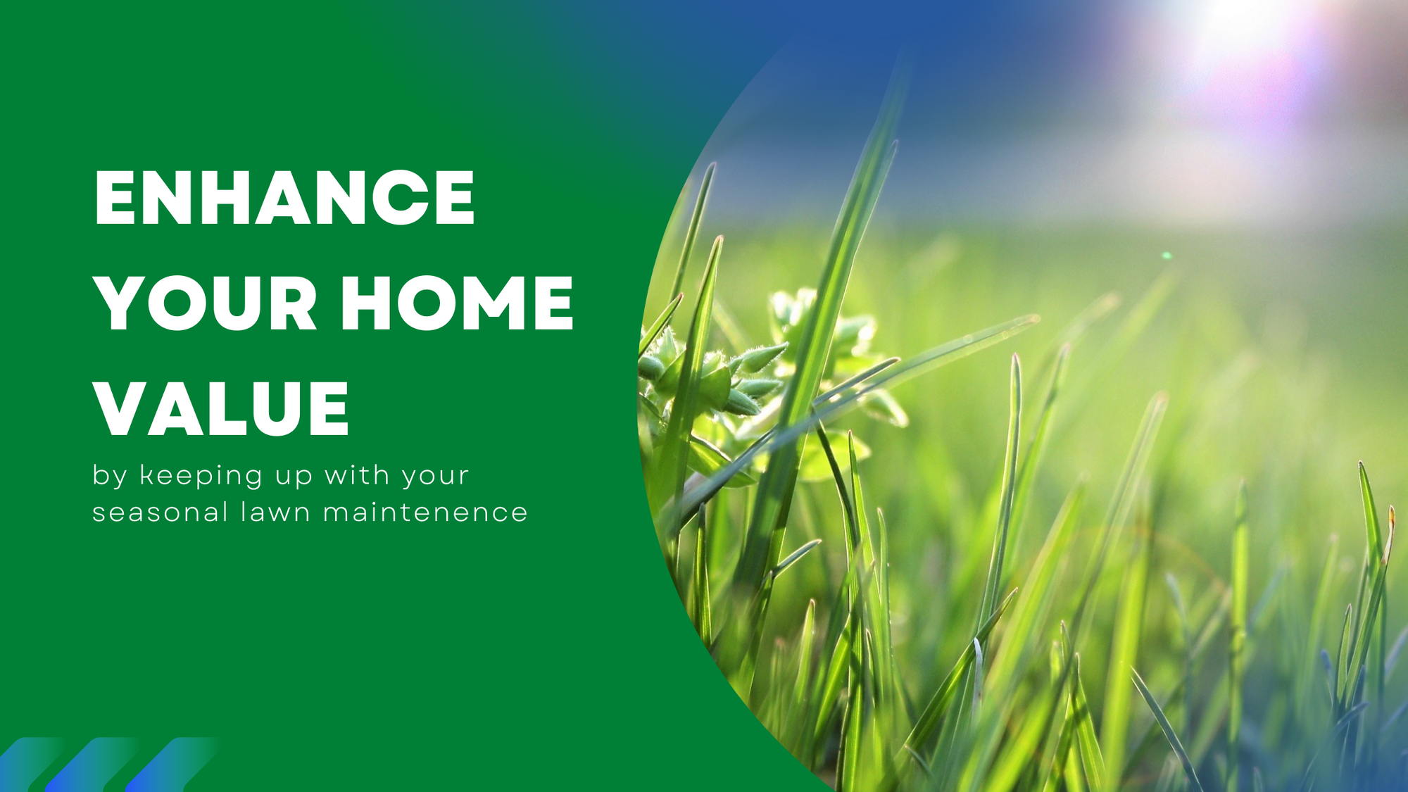 Lawn Maintenance to Enhance Your Home's Value