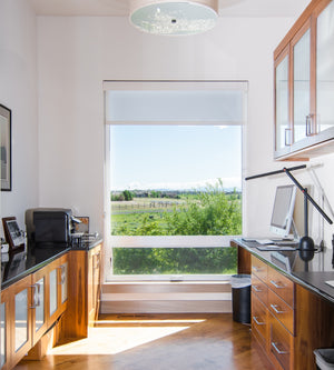 I7392-A The Mayer House Study