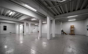 Luxury 4-Bedroom Home with Elevator, Dual Master Suites, and Lanai