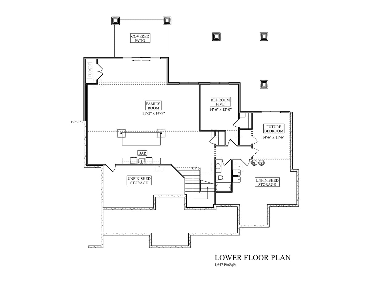 Millsboro Road II House - Lower Floor Plan